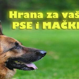 Akvaristika pet shop AQUA ZOO SHOP Vračar