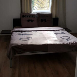 Prenoćište Pančevo DND-X