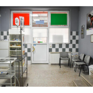 Veterinarska ambulanta VetHome Beograd