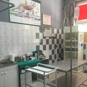 Veterinarska ambulanta VetHome Beograd
