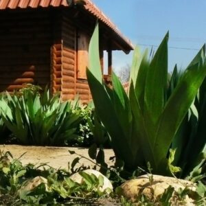 Konačište kod Zage Mojsinje – Mrčajevci