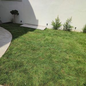 Odrzavanje i uredjivanje dvorista LOTOS GARDEN Grocka