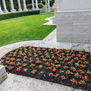 Odrzavanje i uredjivanje dvorista LOTOS GARDEN Grocka