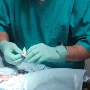 Veterinarska stanica VIDENOVIĆ – Zaječar