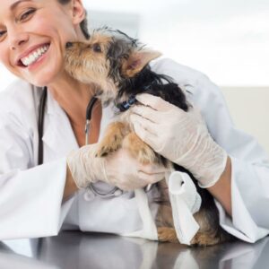 Veterinarska stanica VIDENOVIĆ – Zaječar