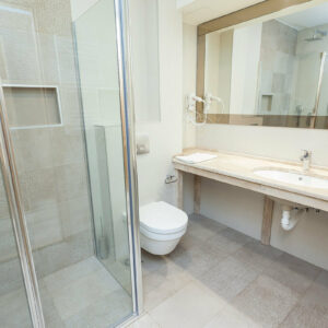 VILA BOROVA Zlatibor