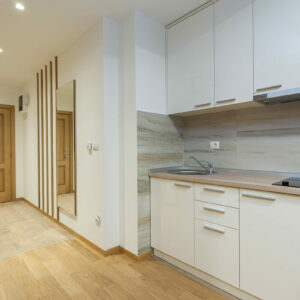 VILA BOROVA Zlatibor