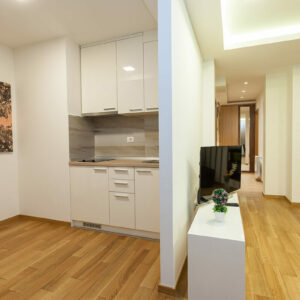 VILA BOROVA Zlatibor