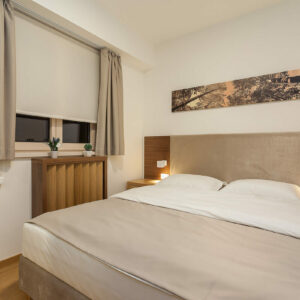 VILA BOROVA Zlatibor