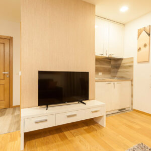 VILA BOROVA Zlatibor