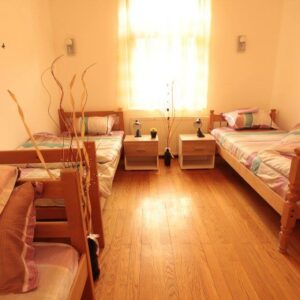 Dom za stara lica Velika Moštanica VELIKO SRCE PLUS