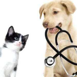 Veterinarska stanica VETFARM 2002 Novi Pazar