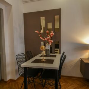 Stan na dan Kraljevo – Iznajmljivanje apartmana BANE Kraljevo