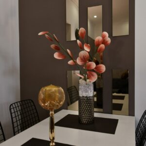 Stan na dan Kraljevo – Iznajmljivanje apartmana BANE Kraljevo