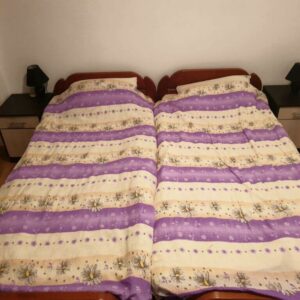 APARTMAN MICA smeštaj Banja Vrujci