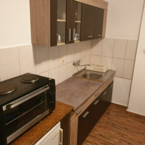 APARTMAN MICA smeštaj Banja Vrujci