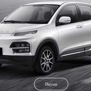 Električni automobili, elektro vozila, prodaja,  Ferum doo Šid