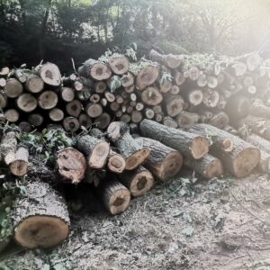 Ogrevno drvo, drva za ogrev OCOKOLJIC Sremčica, Železnik, Barajevo