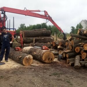 Ogrevno drvo, drva za ogrev OCOKOLJIC Sremčica, Železnik, Barajevo