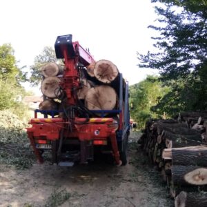 Ogrevno drvo, drva za ogrev OCOKOLJIC Sremčica, Železnik, Barajevo