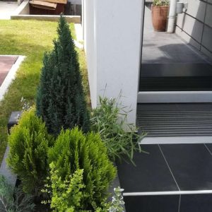 Uredjenje dvorišta moja najlepša bašta Osečina