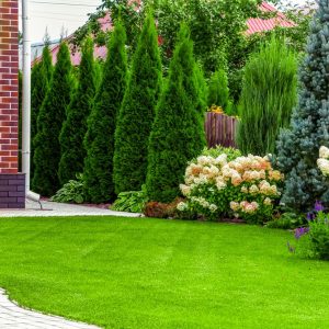 Uredjenje dvorišta moja najlepša bašta Osečina