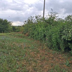 Uredjenje dvorišta moja najlepša bašta Osečina