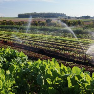Izrada polietilenskih cevi Panon Plast Palić